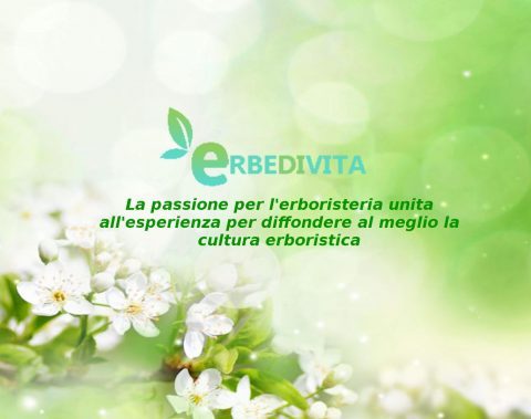 Erbedivita